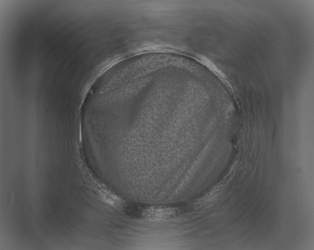 X0000076031269200610061409