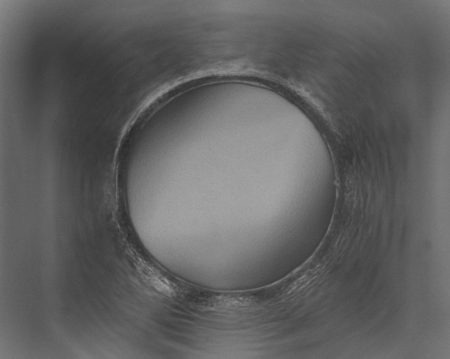 X0000076031270200610061409