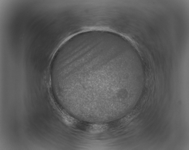 X0000076031271200610061409