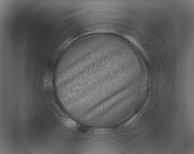 X0000076031273200610061409