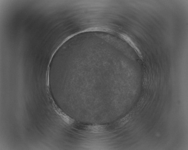 X0000076031276200610061408