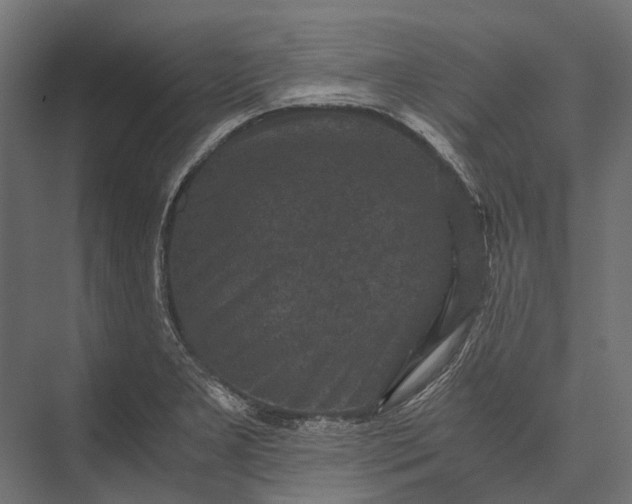 X0000076031277200610061408