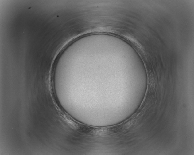 X0000076031278200610061408