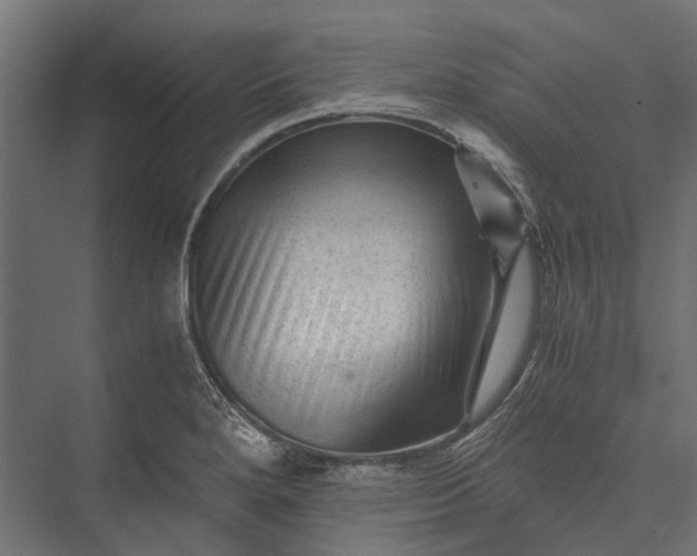 X0000076031280200610061408