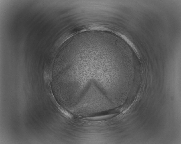 X0000076031281200610061408