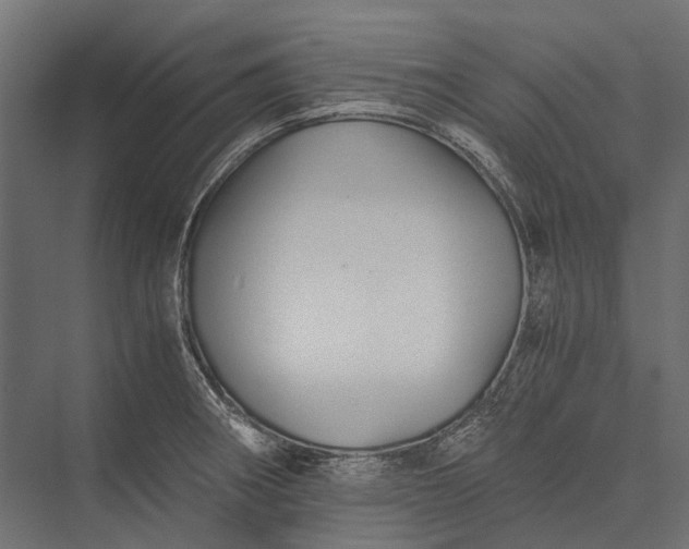 X0000076031282200610061408