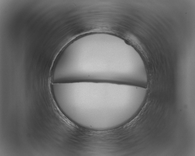 X0000076031284200610061408