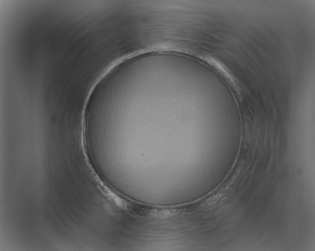 X0000076031286200610061408