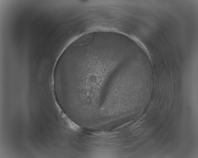 X0000076031287200610061408