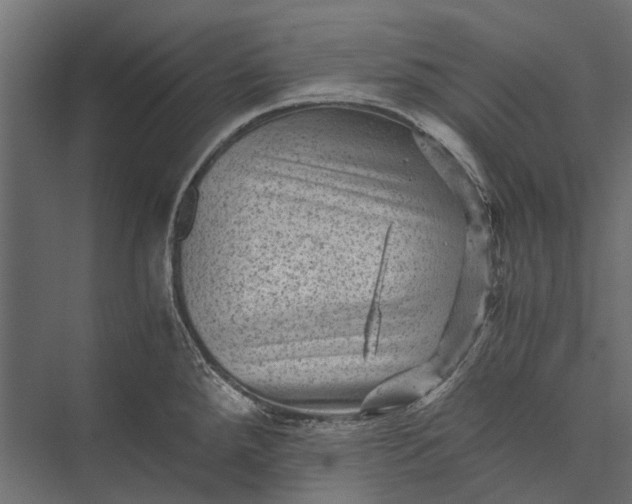 X0000076031288200610061408