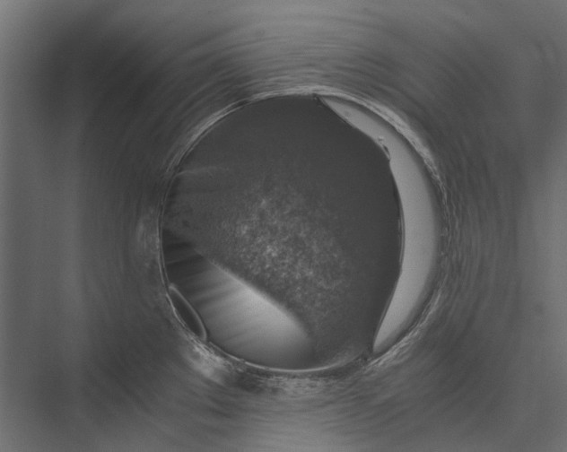 X0000076031289200610061408