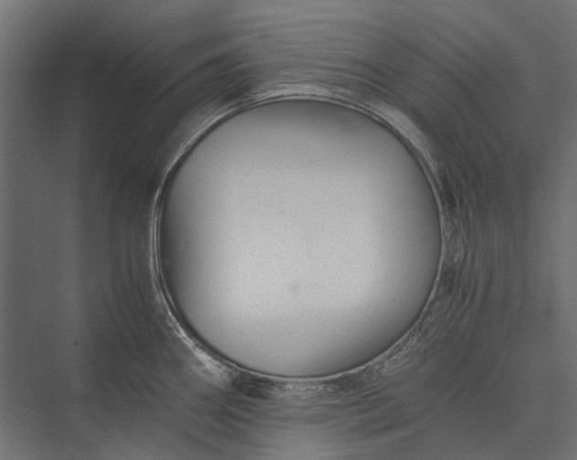 X0000076031290200610061408