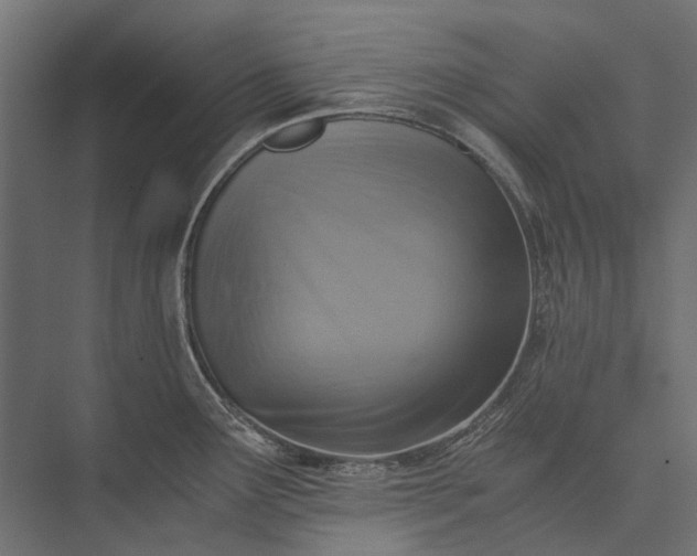 X0000076031291200610061408