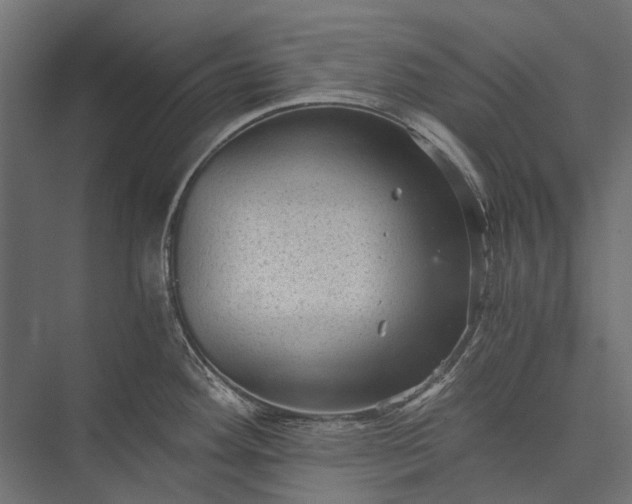 X0000076031292200610061408