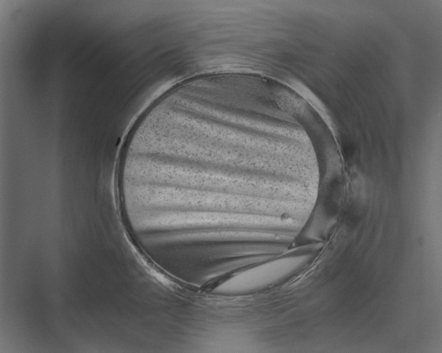 X0000076031293200610061408