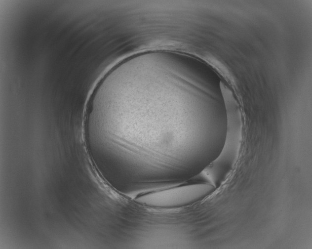 X0000076031296200610061408