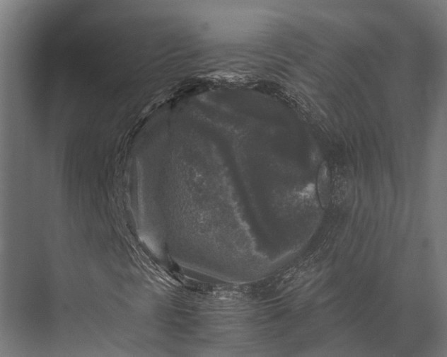 X0000076031297200610061407