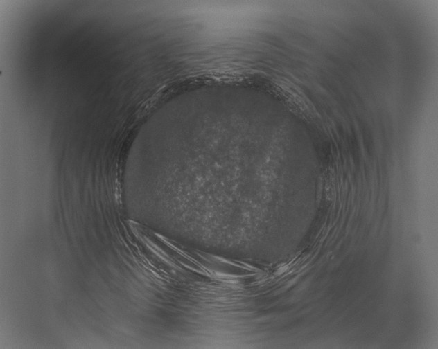 X0000076031298200610061407