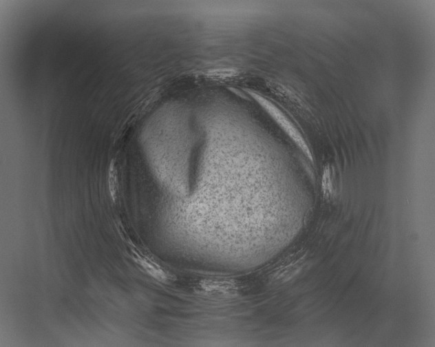 X0000076031299200610061407