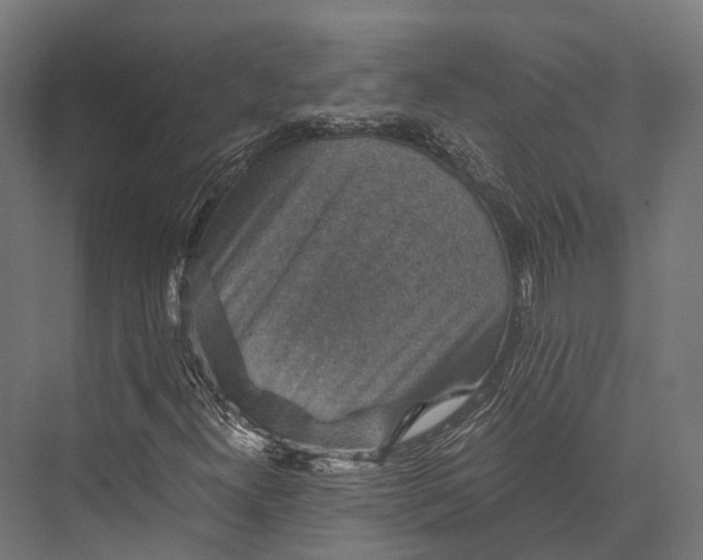 X0000076031300200610061407