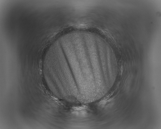 X0000076031301200610061407