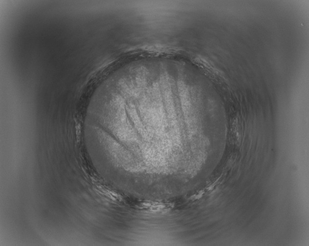 X0000076031302200610061407