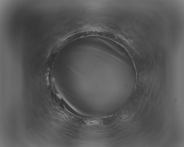 X0000076031303200610061407