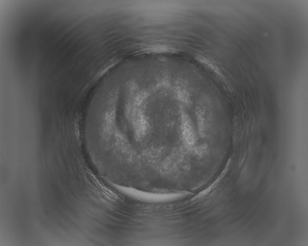 X0000076031305200610061407