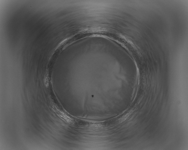 X0000076031306200610061407