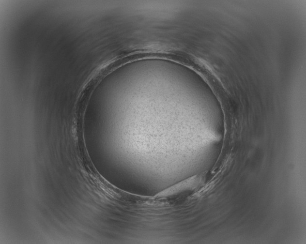 X0000076031307200610061407