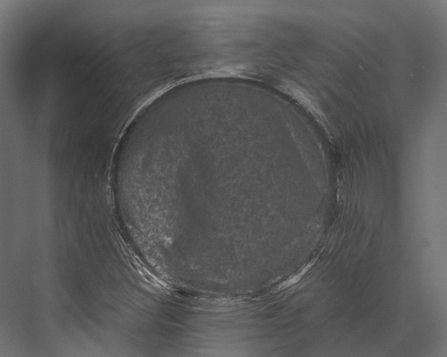 X0000076031308200610061407