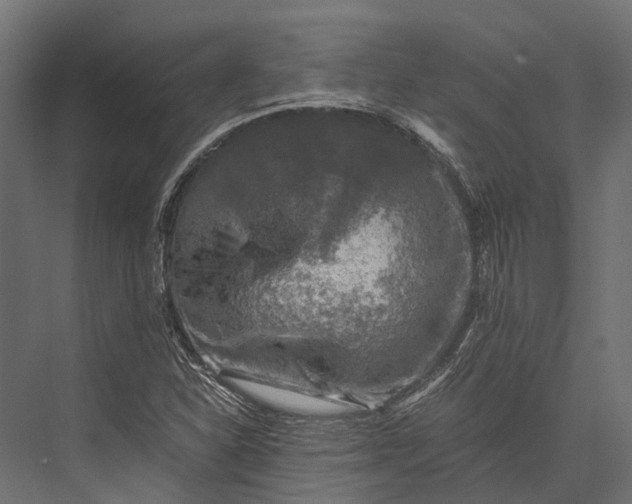 X0000076031310200610061408