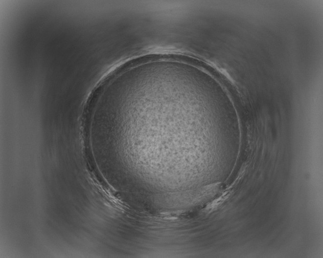 X0000076031311200610061408