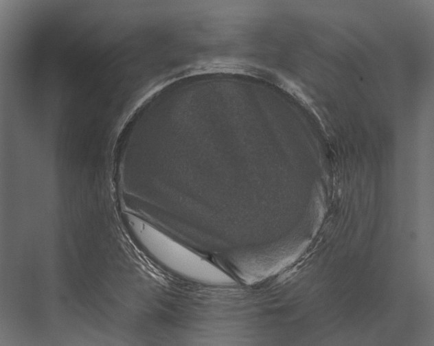 X0000076031312200610061408