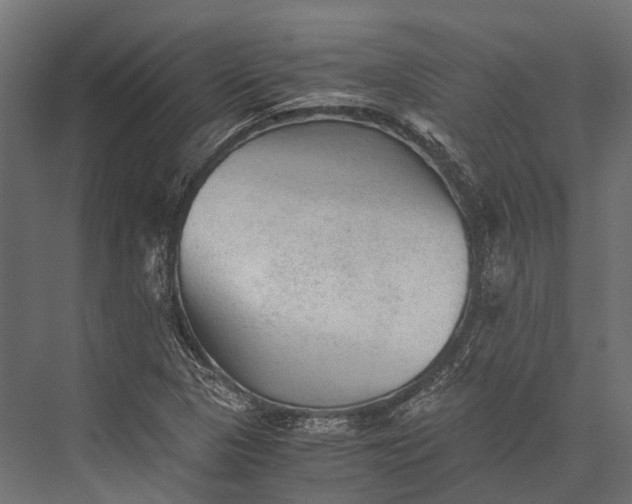 X0000076031313200610061408