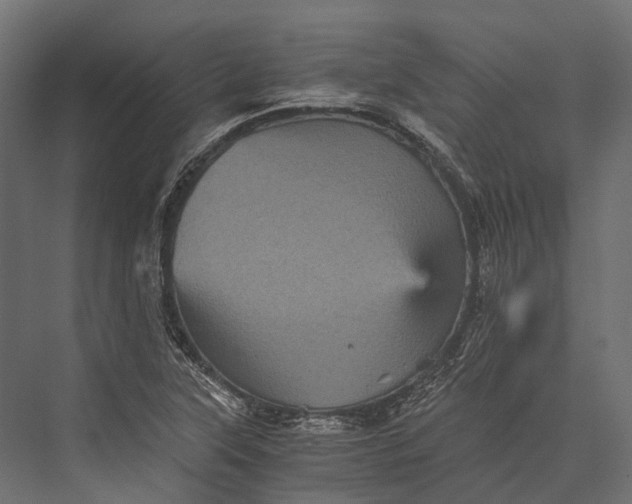 X0000076031315200610061408