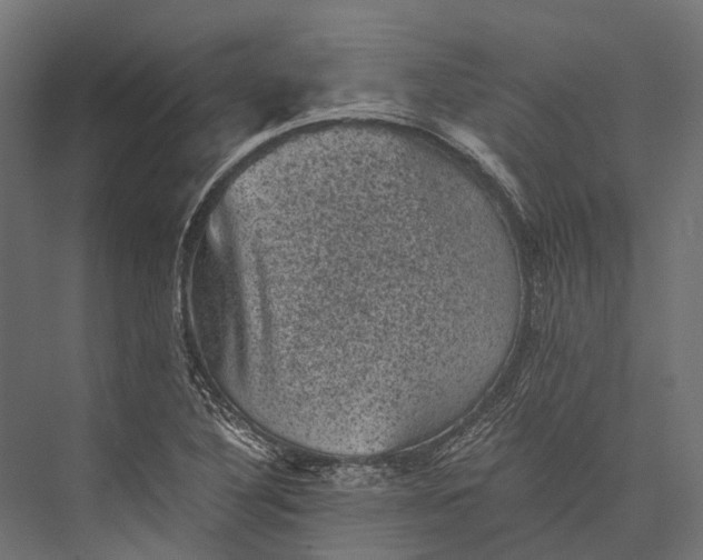 X0000076031316200610061408