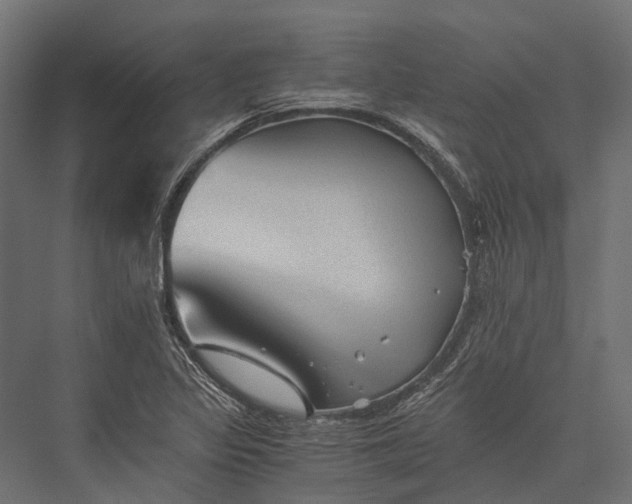 X0000076031317200610061408