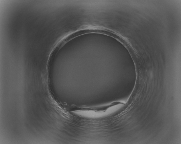 X0000076031319200610061408