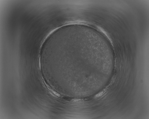 X0000076031320200610061408