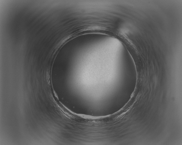 X0000076031321200610061408