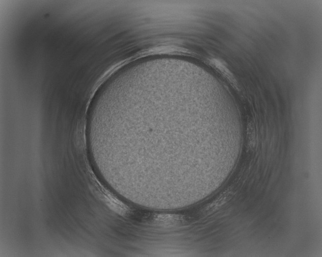 X0000076031322200610061408