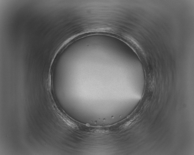 X0000076031324200610061408