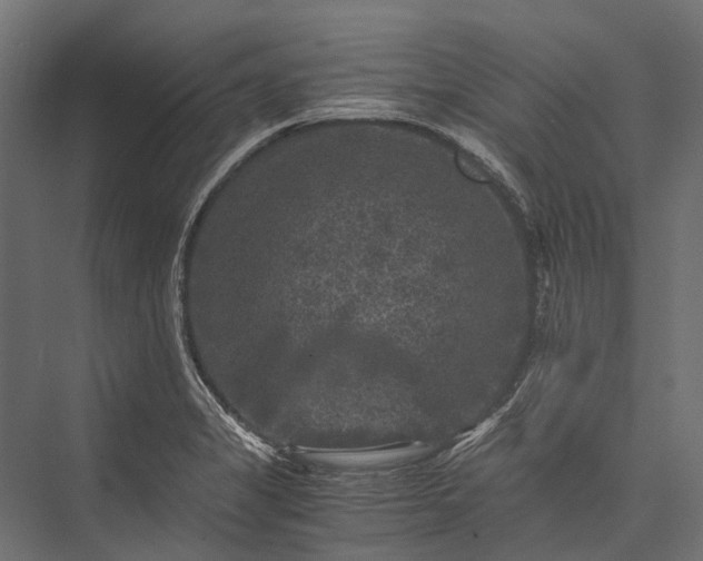 X0000076031325200610061408