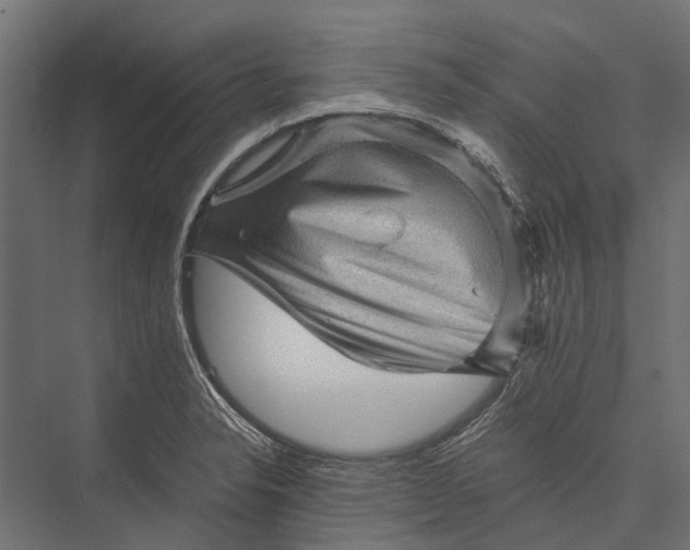 X0000076031326200610061408