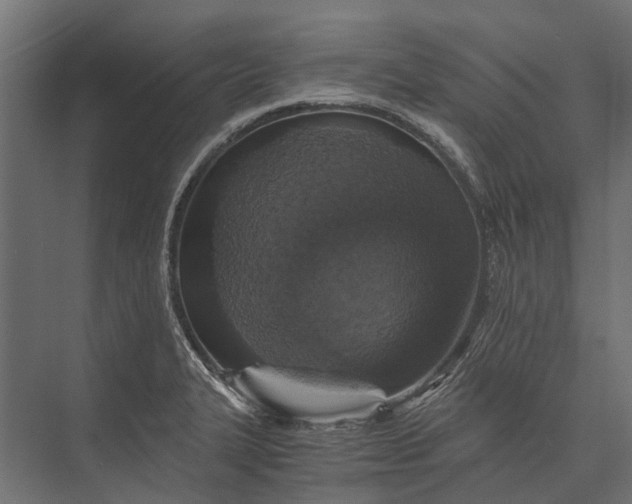 X0000076031327200610061408