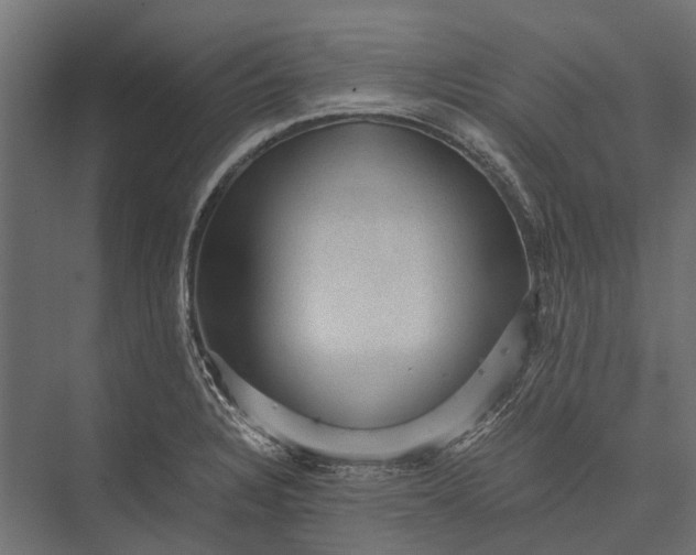 X0000076031328200610061408