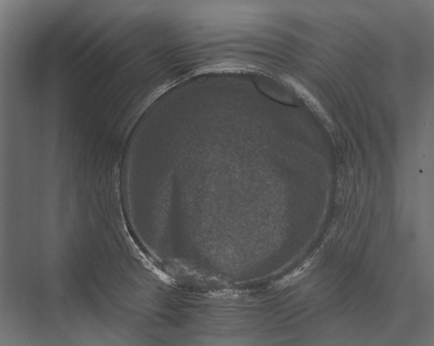 X0000076031329200610061408