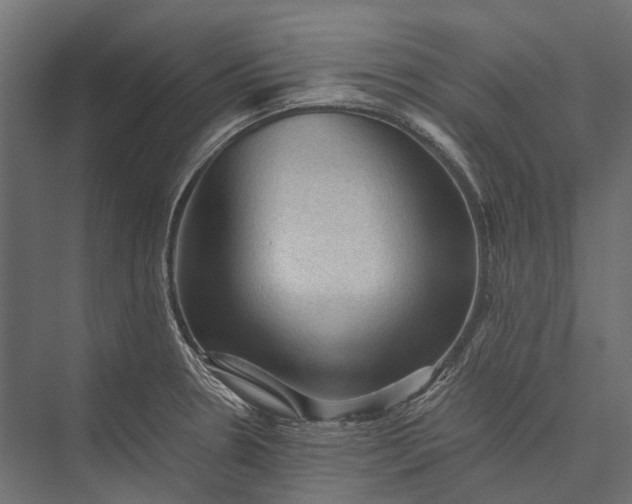 X0000076031330200610061408