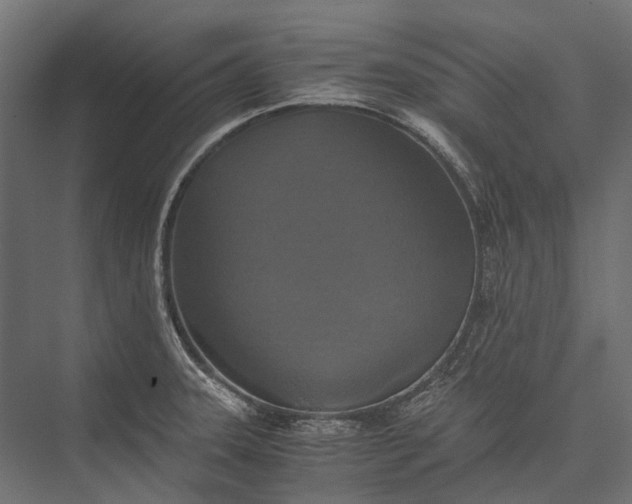 X0000076031331200610061408